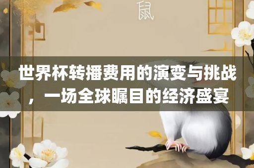 世界杯转播费用的演变与挑战，一场全球瞩目的经济盛宴