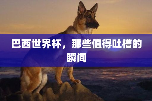 巴西世界杯，那些值得吐槽的瞬间