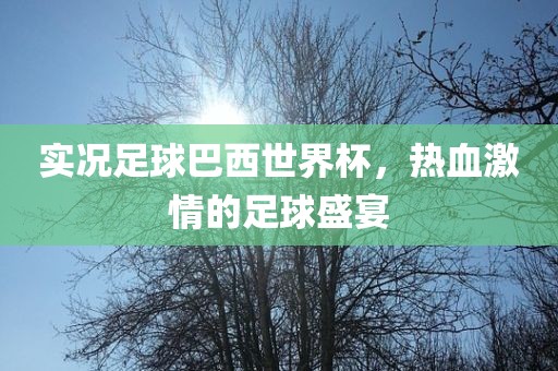 实况足球巴西世界杯，热血激情的足球盛宴