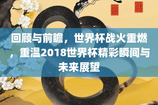 回顾与前瞻，世界杯战火重燃，重温2018世眉山市正发家政服务有限公司界杯精彩瞬间与未来展望