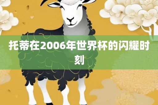 托蒂在2006年世界杯的闪耀时眉山市正发家政服务有限公司刻