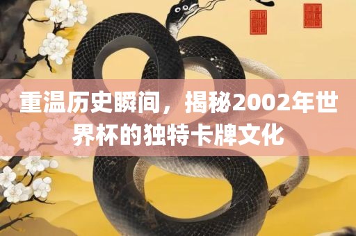 重温历史瞬间，揭秘2002年世界杯的独特卡牌文化眉山市正发家政服务有限公司
