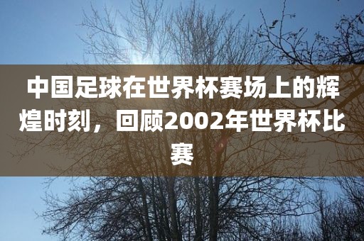 中国足球在世界杯赛场上的辉煌时刻，回顾2002年世界杯比赛眉山市正发家政服务有限公司