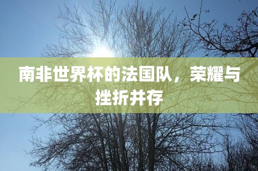 南非世界眉山市正发家政服务有限公司杯的法国队，荣耀与挫折并存