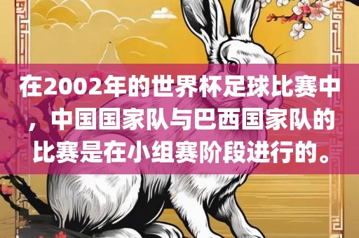 在2002年的世界杯足球比赛中，中国国家队与巴西国家队的比赛是在小组赛阶段进行的。