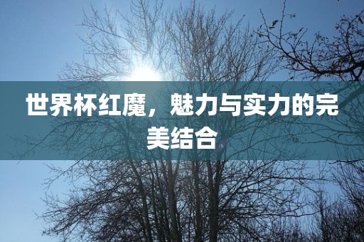 世界杯红魔，魅力与眉山市正发家政服务有限公司实力的完美结合