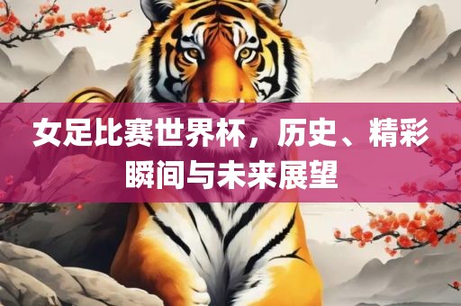 女足比赛世界杯，历史、精彩瞬间与未来展望