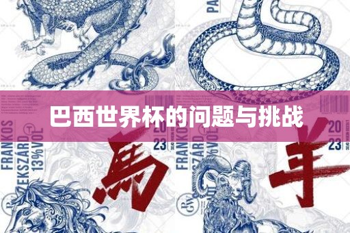 巴西世界杯的问题与挑战