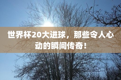 世界杯20大进球，那些令人心动的瞬间传奇！眉山市正发家政服务有限公司