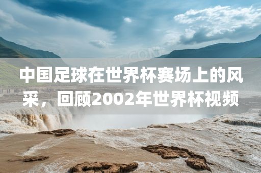 中国足球在世界杯赛场上的风采，回顾2002年世界杯视频