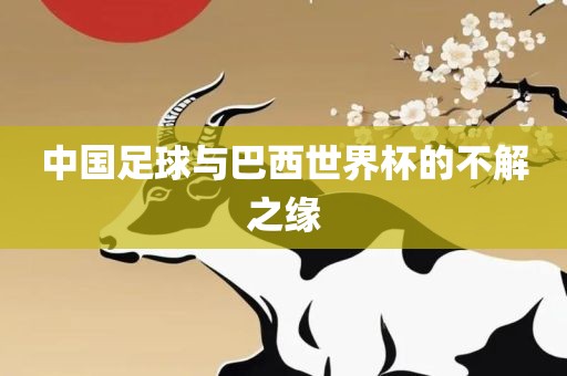 中国足球与巴西世界杯的不解之缘