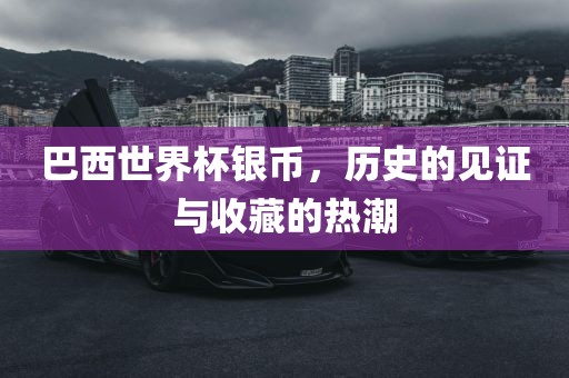 巴西世界杯银币，历史的见证与收藏的热潮眉山市正发家政服务有限公司