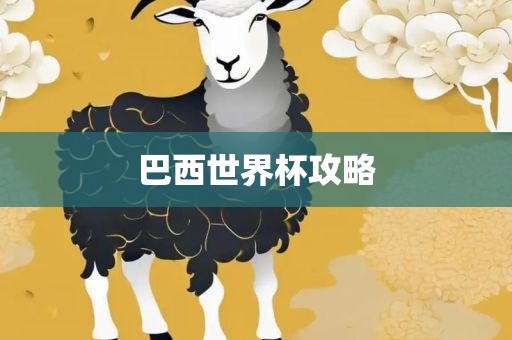 巴西世界杯攻略