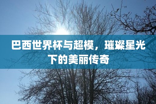巴西世界杯与超模，璀璨星光下的美丽传奇