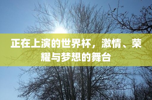 正在上演的世界杯，激情、荣耀与梦想的舞台