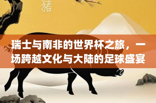 瑞士与南非的世界杯之旅，一场跨越文化与大陆的足球盛宴