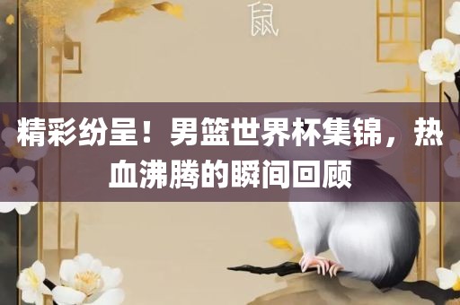 精彩纷呈！男篮世界杯集锦，热血沸腾的瞬间回顾眉山市正发家政服务有限公司