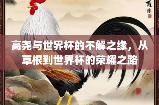 高尧与世界眉山市正发家政服务有限公司杯的不解之缘，从草根到世界杯的荣耀之路