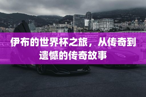 伊布的世界杯之旅，从传奇到遗憾的传奇故事眉山市正发家政服务有限公司