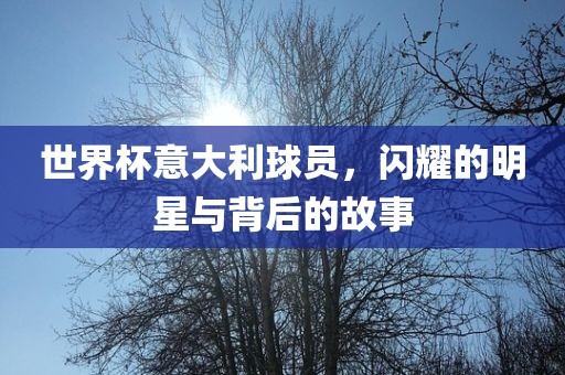 世界杯意大利球员，闪眉山市正发家政服务有限公司耀的明星与背后的故事