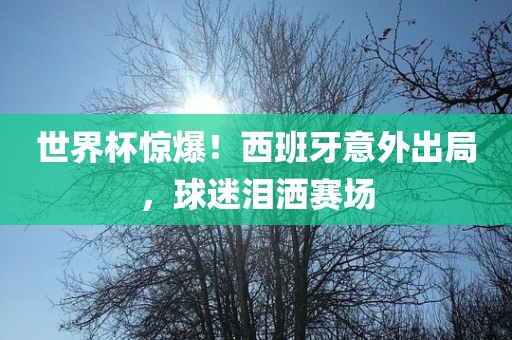 世界杯惊爆！西班牙意外出局，球迷泪洒赛场