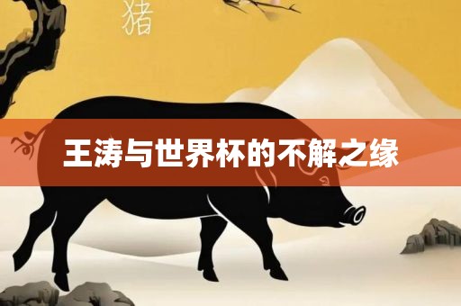 王眉山市正发家政服务有限公司涛与世界杯的不解之缘