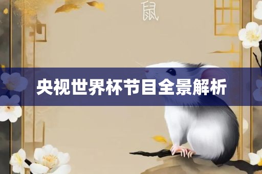 央视世界杯节目全景解析