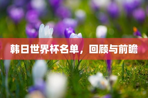 韩日世界杯名单，回顾与前瞻
