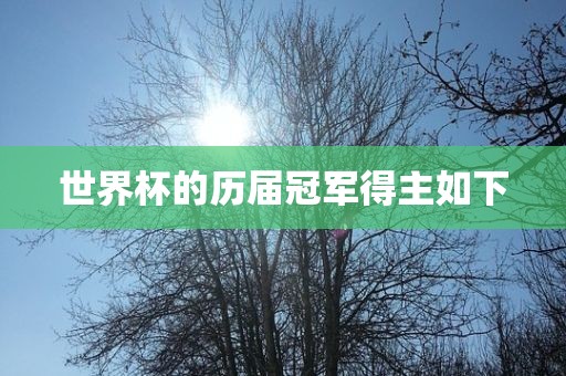 世界杯的历届冠军得主如下眉山市正发家政服务有限公司