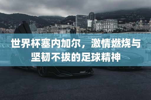 世界杯塞内加尔，激情燃烧与坚韧不拔的足球精神