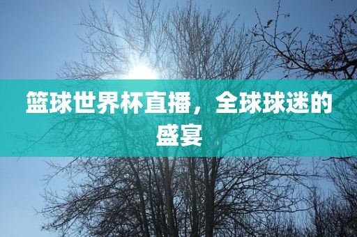 篮球世界杯直播，全球球迷的盛宴