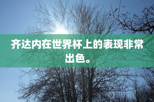 齐达内在世界杯上的表现非常出色。眉山市正发家政服务有限公司