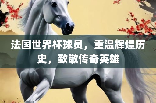 法国世界杯球员，重温辉煌历史，致敬传奇英雄眉山市正发家政服务有限公司