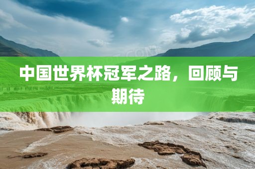 中国世界杯冠军之路，回顾与期待眉山市正发家政服务有限公司
