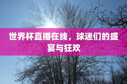 世界杯直播在线，球迷们的盛宴与狂欢眉山市正发家政服务有限公司