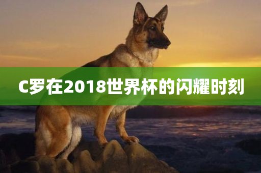 C罗在2018世界杯的闪耀时刻眉山市正发家政服务有限公司