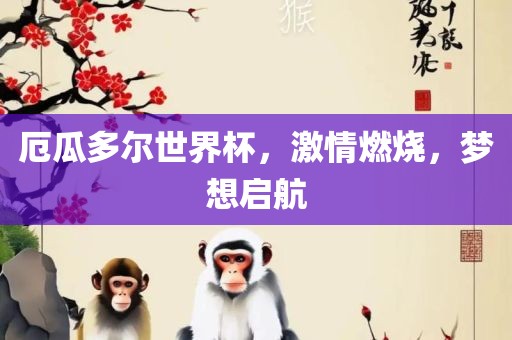 厄瓜多尔世界杯，激情燃烧，梦想启航眉山市正发家政服务有限公司