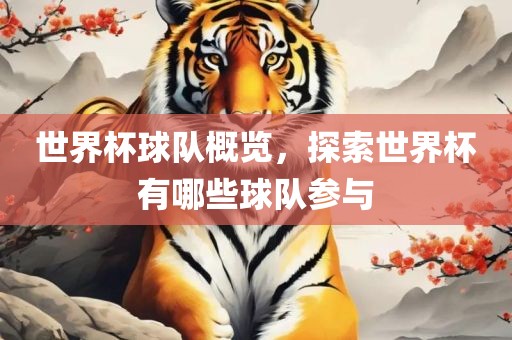 世界杯球队概览，探索世界杯有哪些球队参与