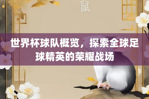 世界杯球队概览，探索全球足球精英的荣耀战场