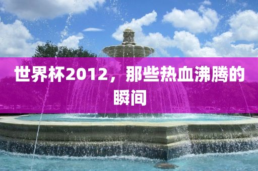 世界杯2012，那些热血沸腾的瞬间眉山市正发家政服务有限公司