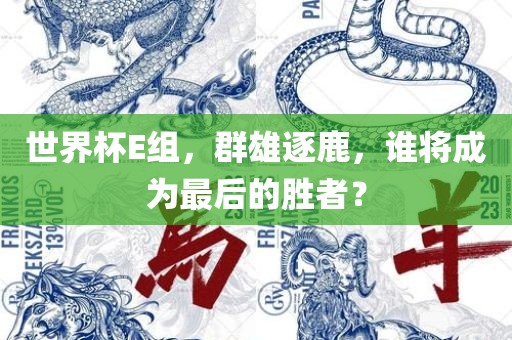 世界杯E组，群雄逐鹿，谁将成为最后的胜者？