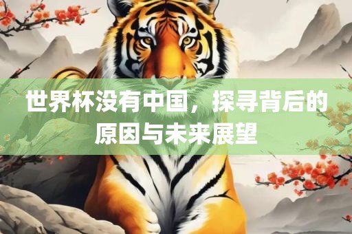 世界杯没有中国，探寻背后的原因与未来展望