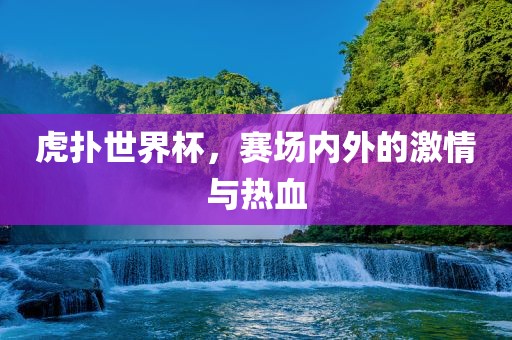 虎扑世界杯，赛场内外的激情与热血