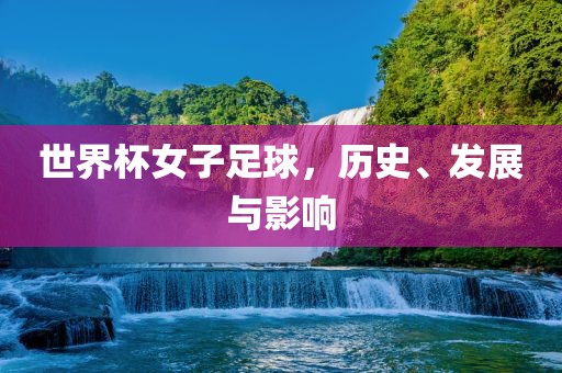 世界杯女子足球，历史、发展与影响眉山市正发家政服务有限公司