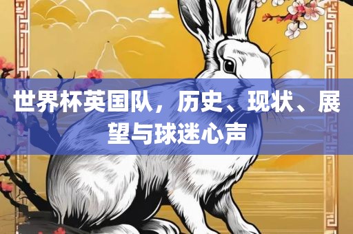 世界杯英国队，历史、现状、展望与球迷心声眉山市正发家政服务有限公司