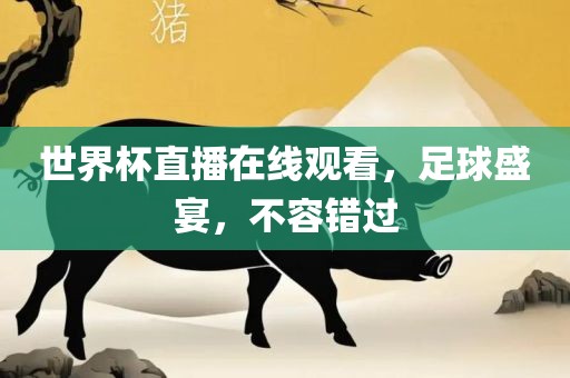 世界杯直播在线观看，足球盛宴，不容错过眉山市正发家政服务有限公司