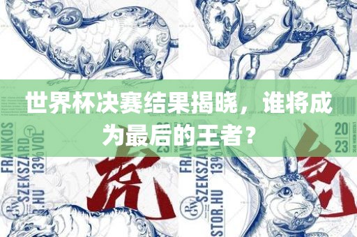 世界杯决赛结果揭晓，谁将成为最后的王者？眉山市正发家政服务有限公司