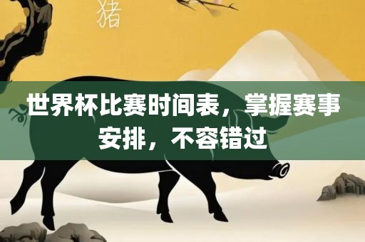 世界杯比赛时间表，掌握赛事安排，不容错过