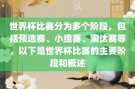 世界杯比赛分为多个阶段，包括预选赛、小组赛、淘汰赛等。以下是世界杯比赛的主要阶段和概述