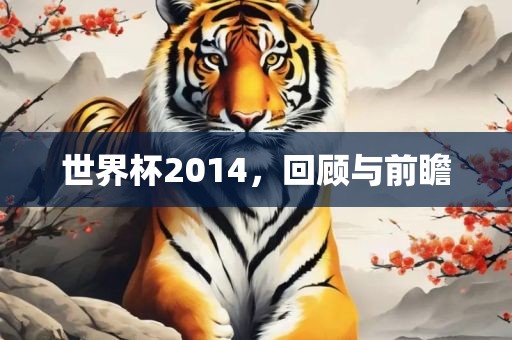 世界杯2014，回顾与前瞻